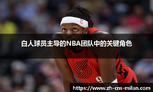 白人球员主导的NBA团队中的关键角色